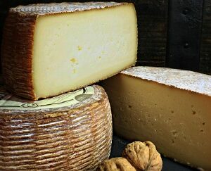 Tomme des Croquants à la truffe d’été