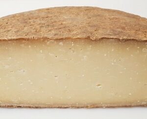 Pur brebis 1 an