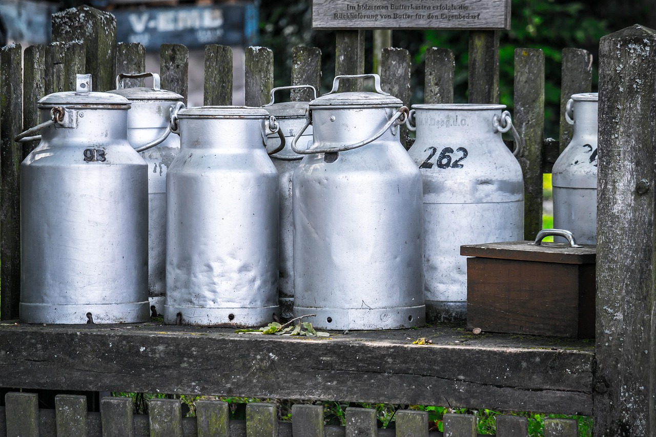 Nos laits